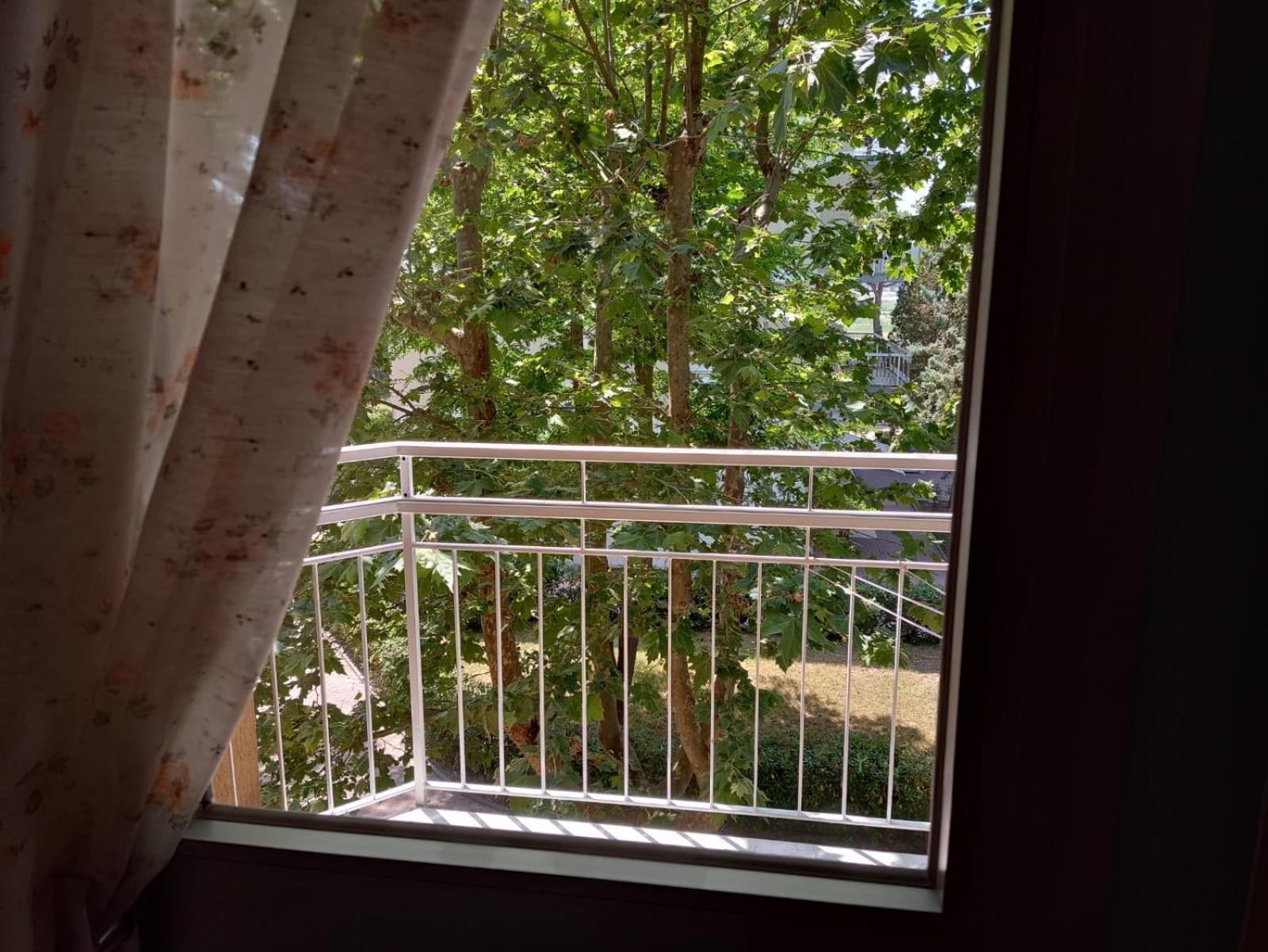 Hotel Toschi ميكيلي المظهر الخارجي الصورة